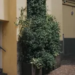 Navigli Darsena