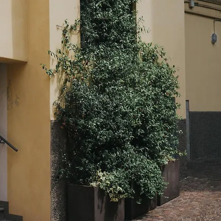 Navigli Darsena